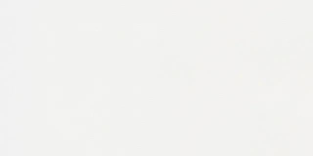 Blanco, iNfeel SL521